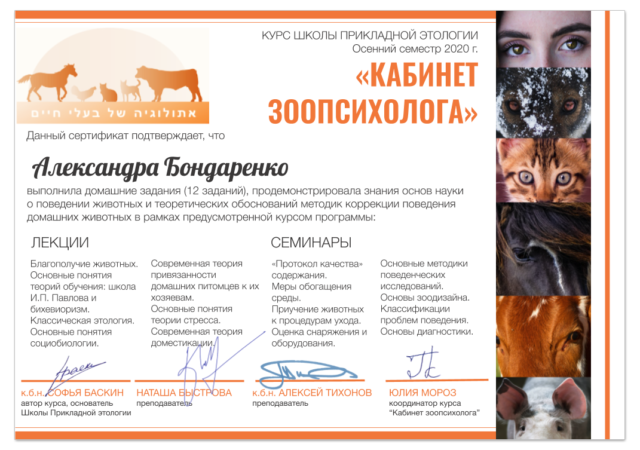 Сертификат курса школы прикладной этологии Софьи Баскиной «Кабинет зоопсихолога»